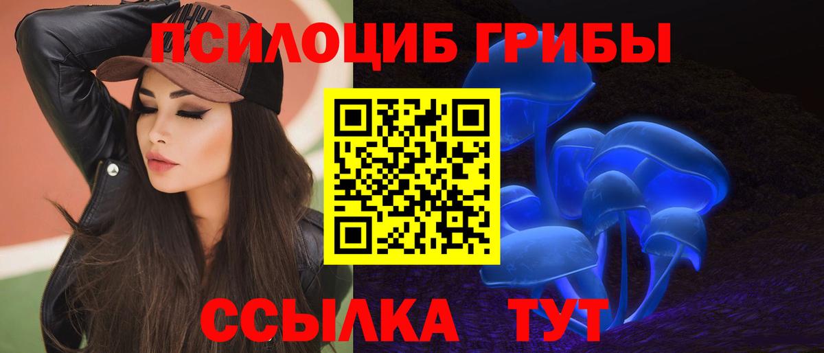 Псилоцибиновые грибы Magic Shrooms  Вход с VPN  Псилоцибиновые грибы Psilocybe  Коряжма 